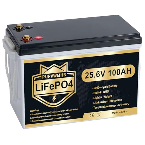 PUPVWMHB Mini 24V 100Ah Lithium Battery